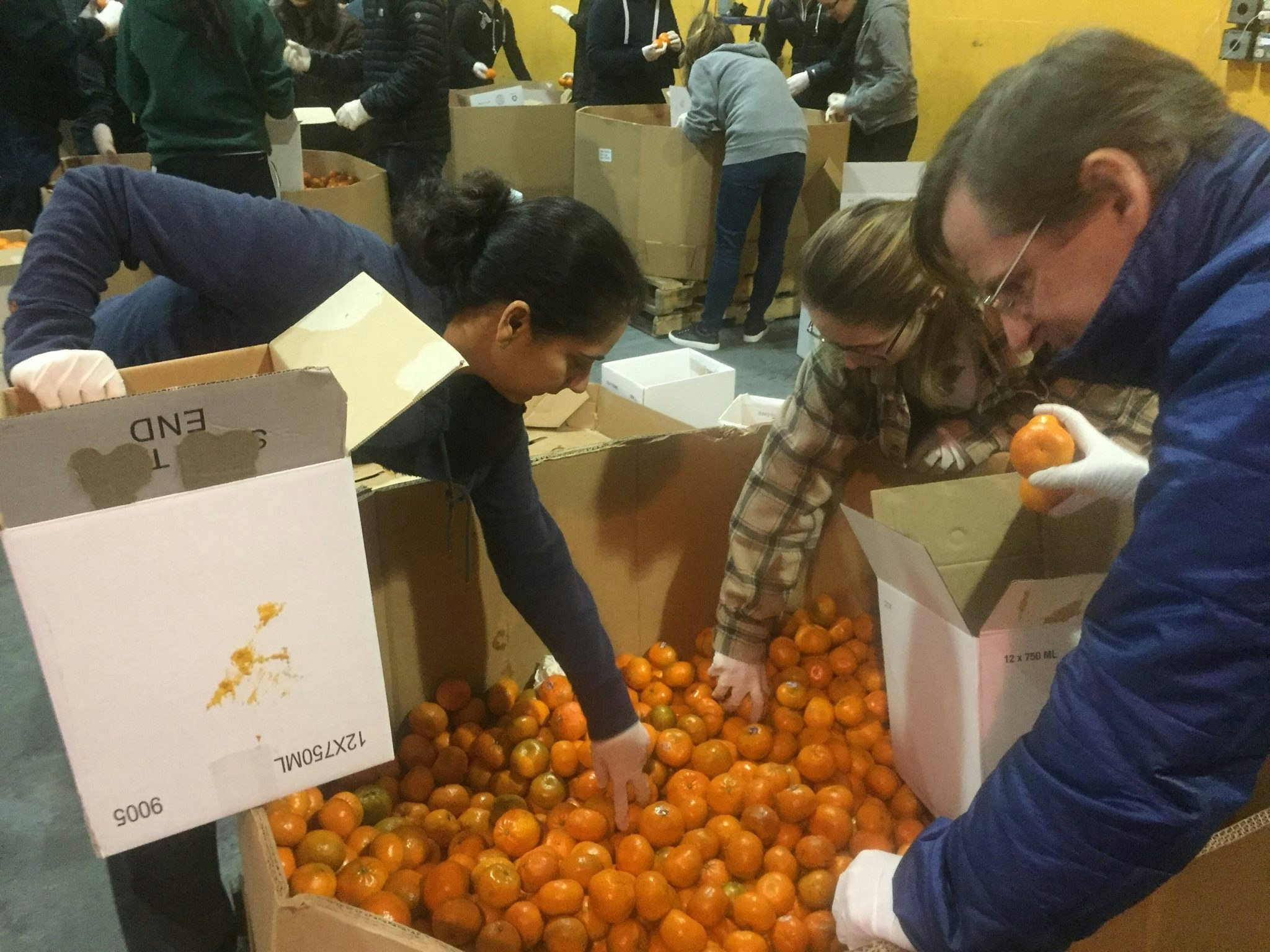 Startups Give Back gallery image