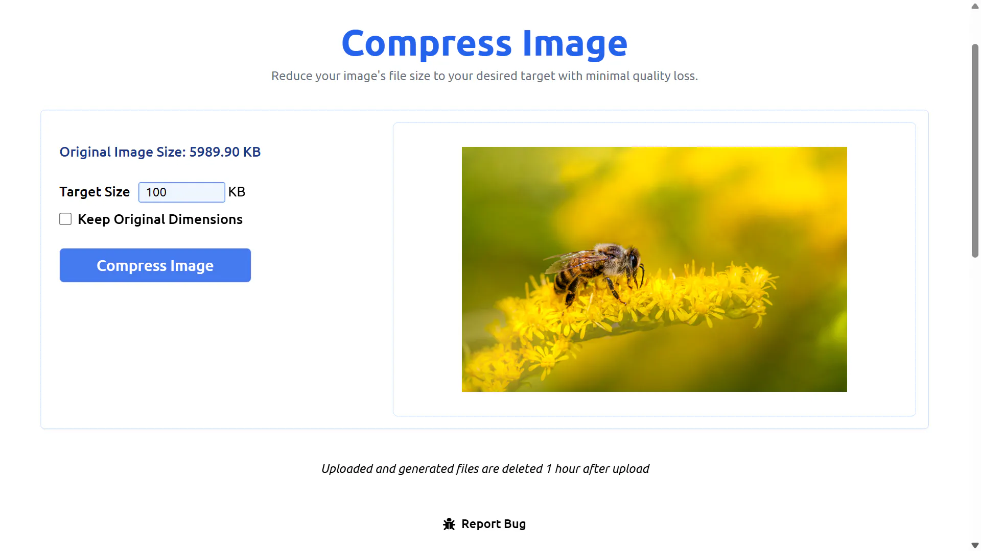 WowSolver gallery image