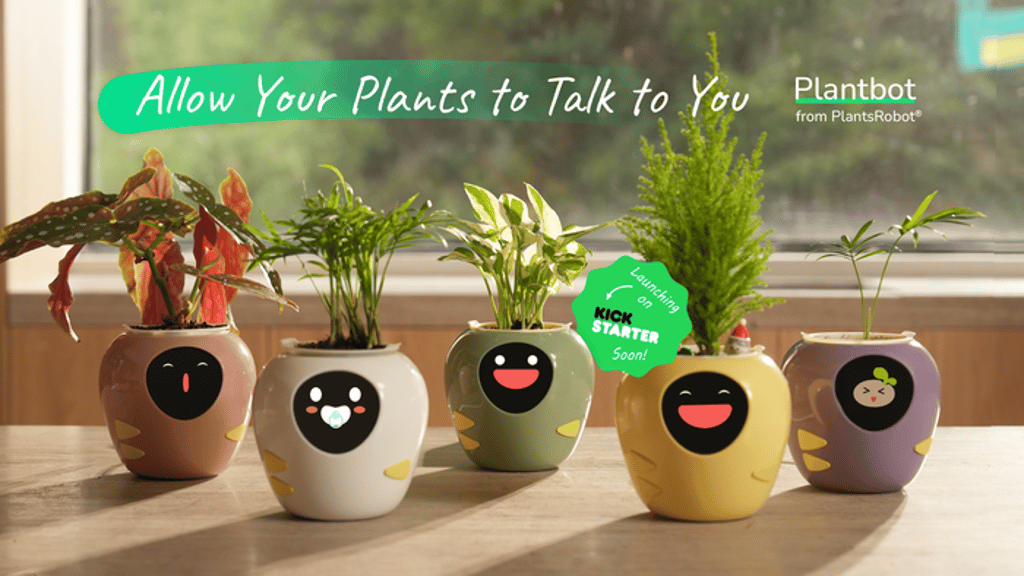 Mídia 1 de Plant Bot - Permite que suas plantas falem com você