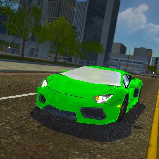 Realistic Driving Sim