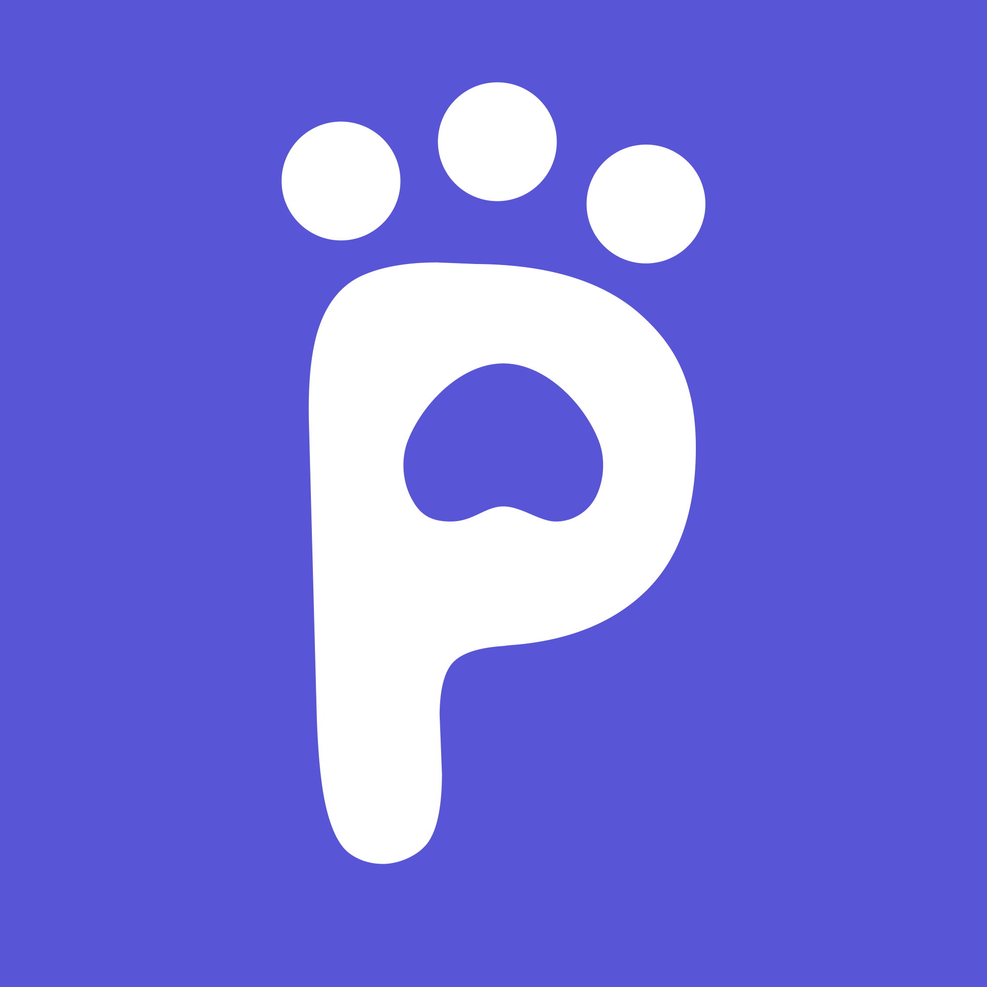 Pettify - Product Hunt launch logo and brand identity