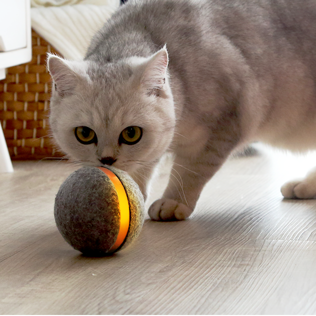 Wicked Ball Image