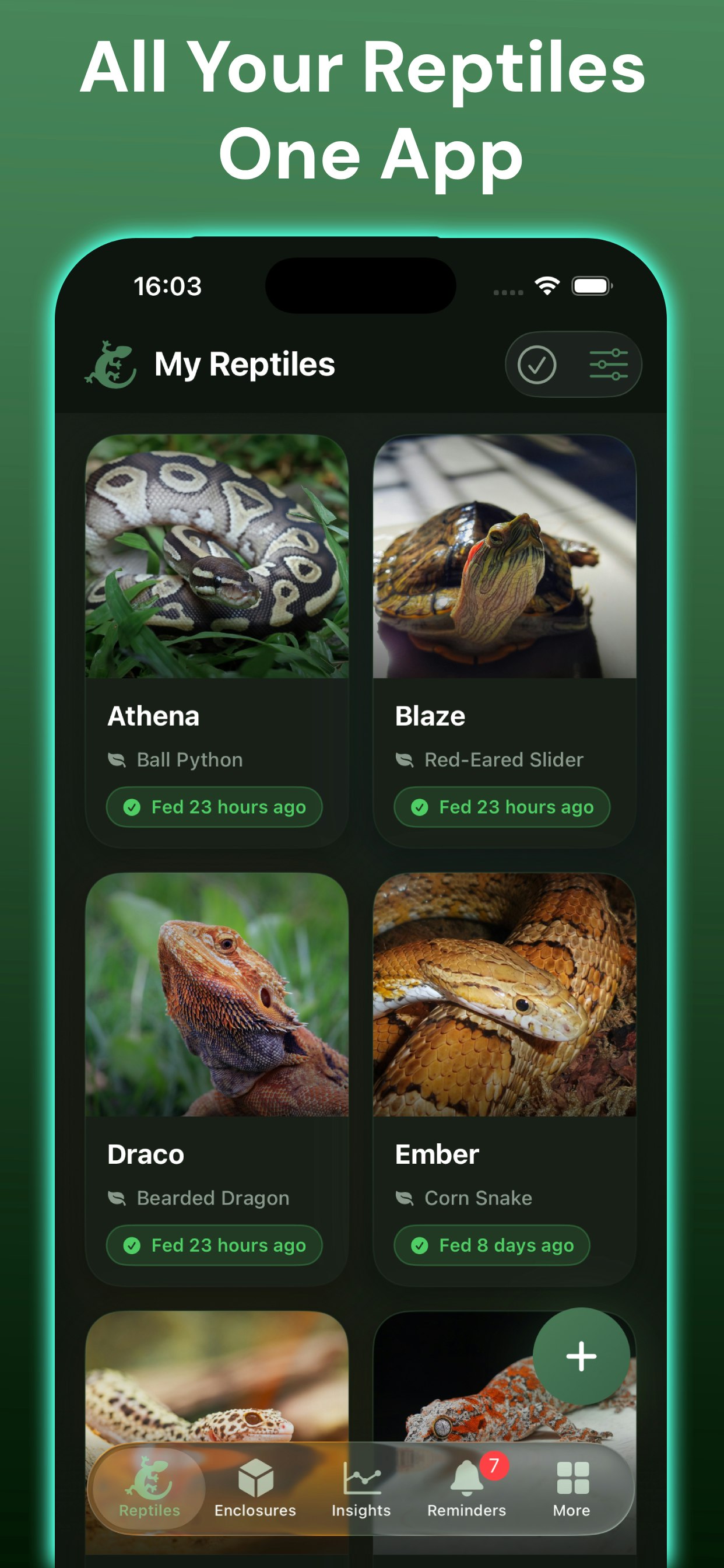Exotic Reptile Care gallery image