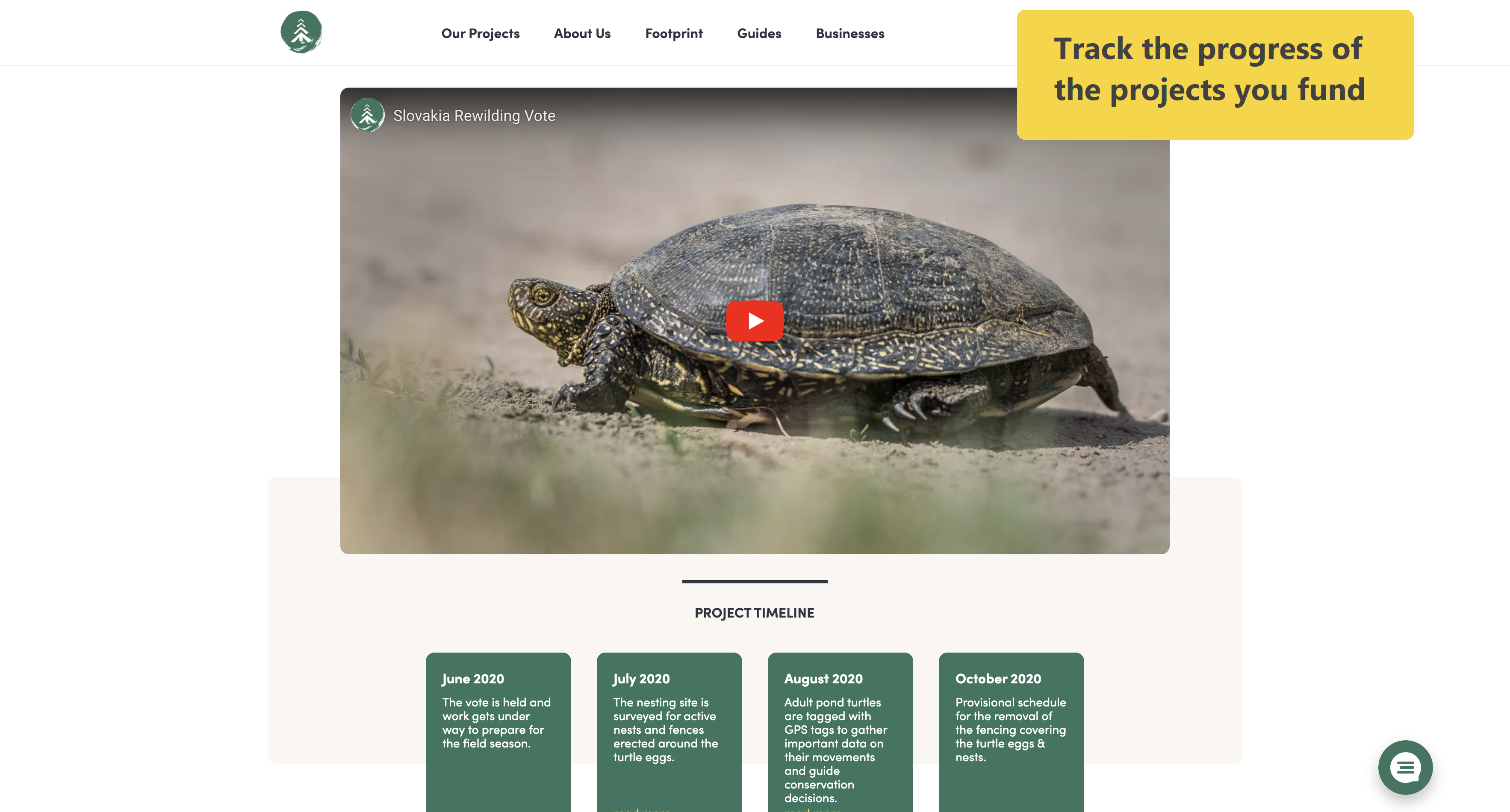 Mossy Earth gallery image