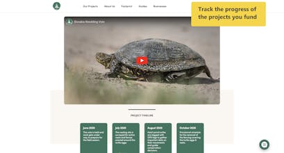 Mossy Earth gallery image