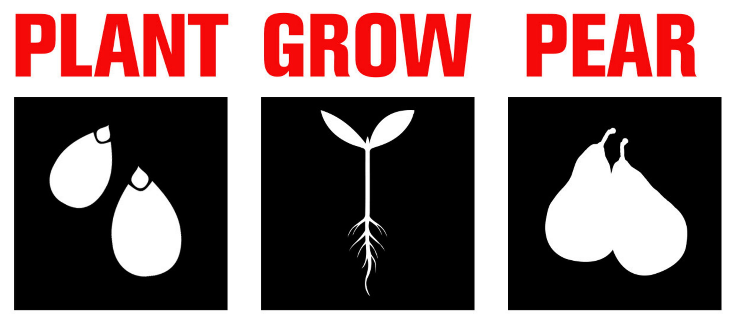 Grow A Pear