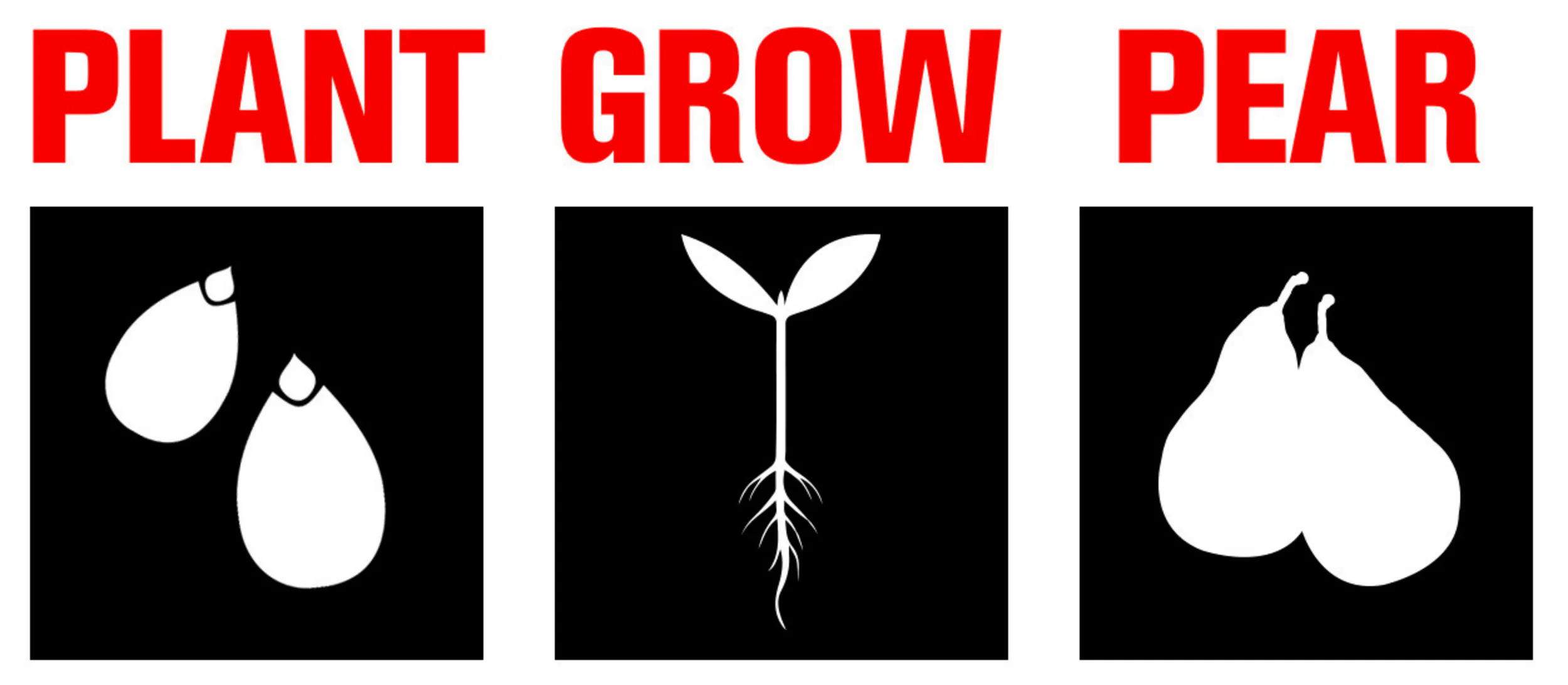 Grow A Pear