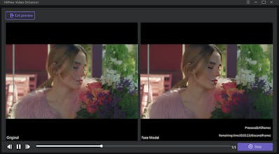 HitPaw VikPea gallery image