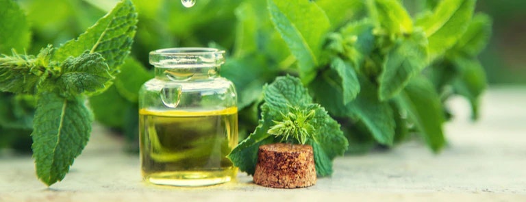 Wholesale essential oils from India media 3