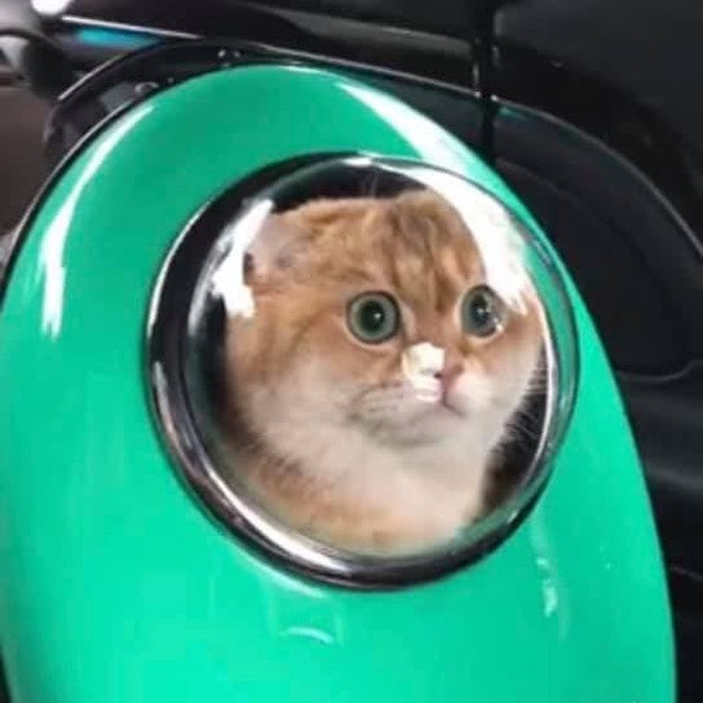 Wanna catchup?