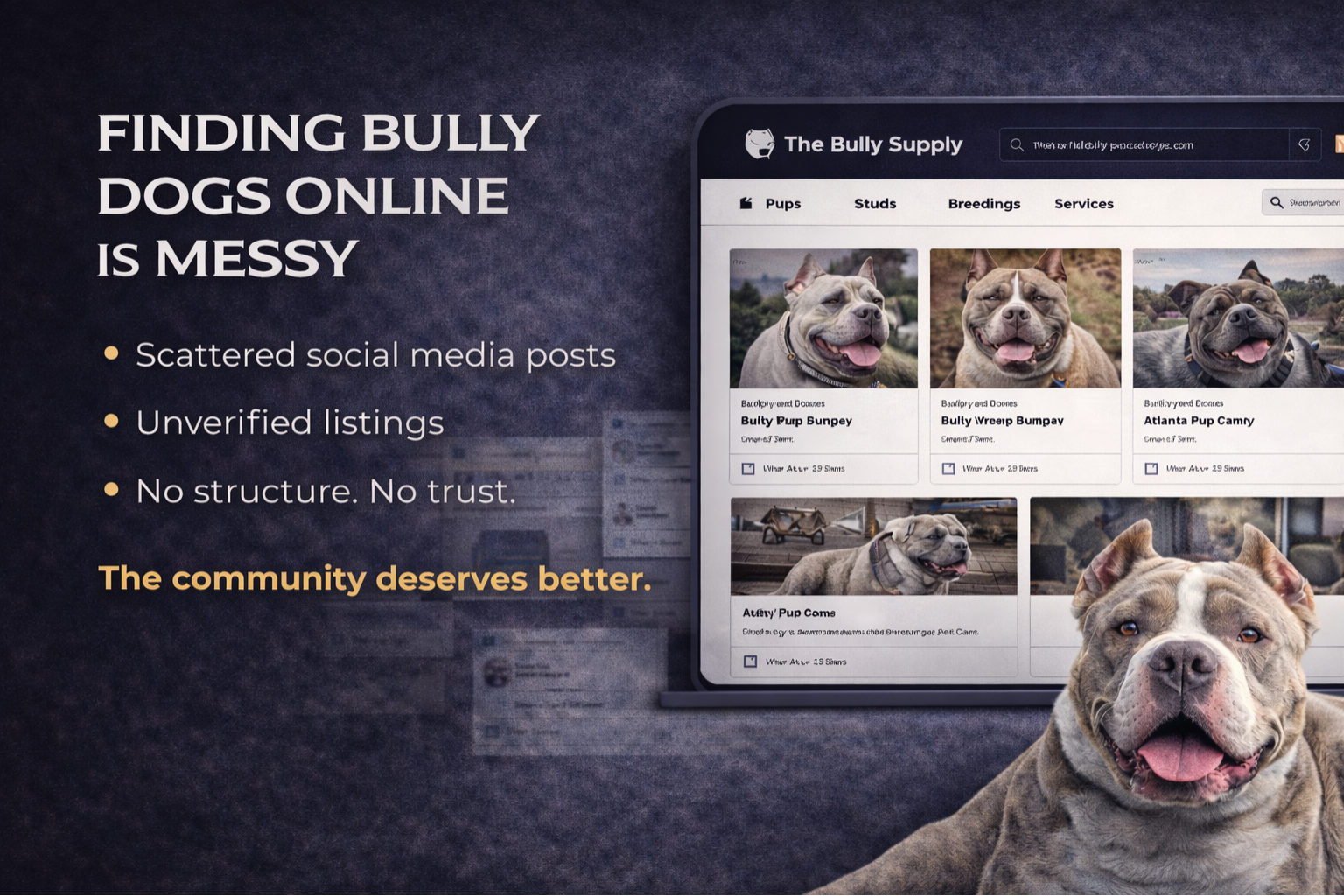 The Bully Supply gallery image