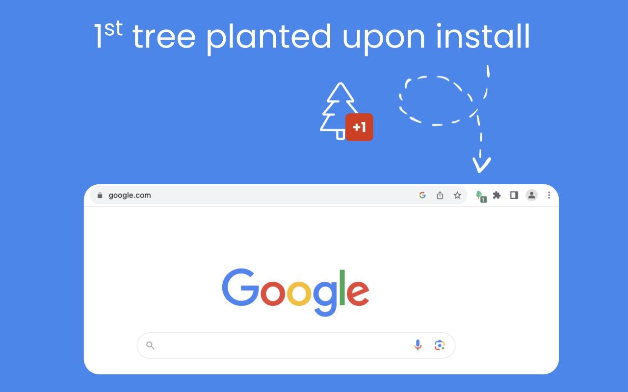 refoorest gallery image