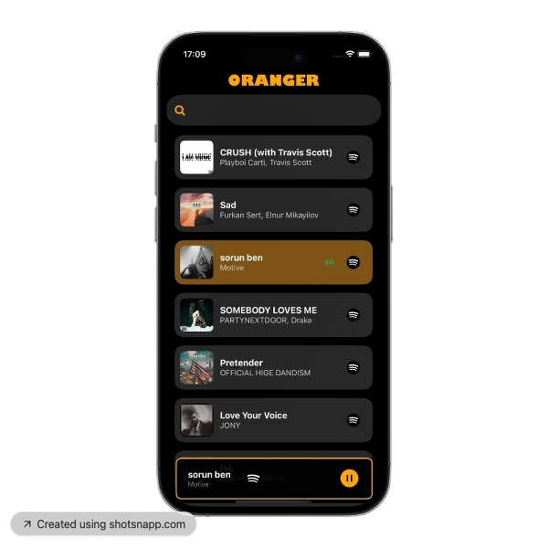 Orange - Musik verstehen wie nie zuvor Medien 4