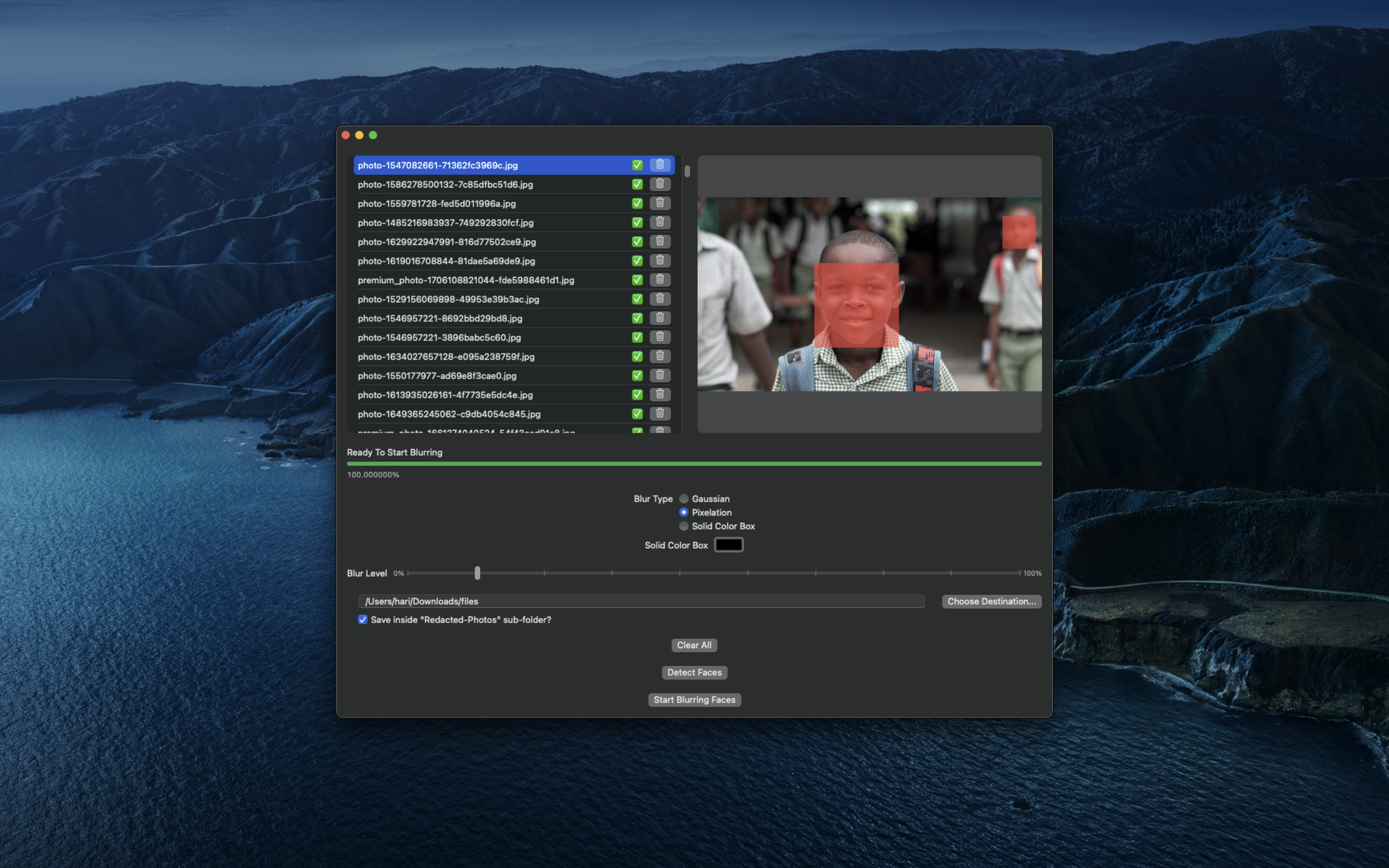 Blur Faces gallery image