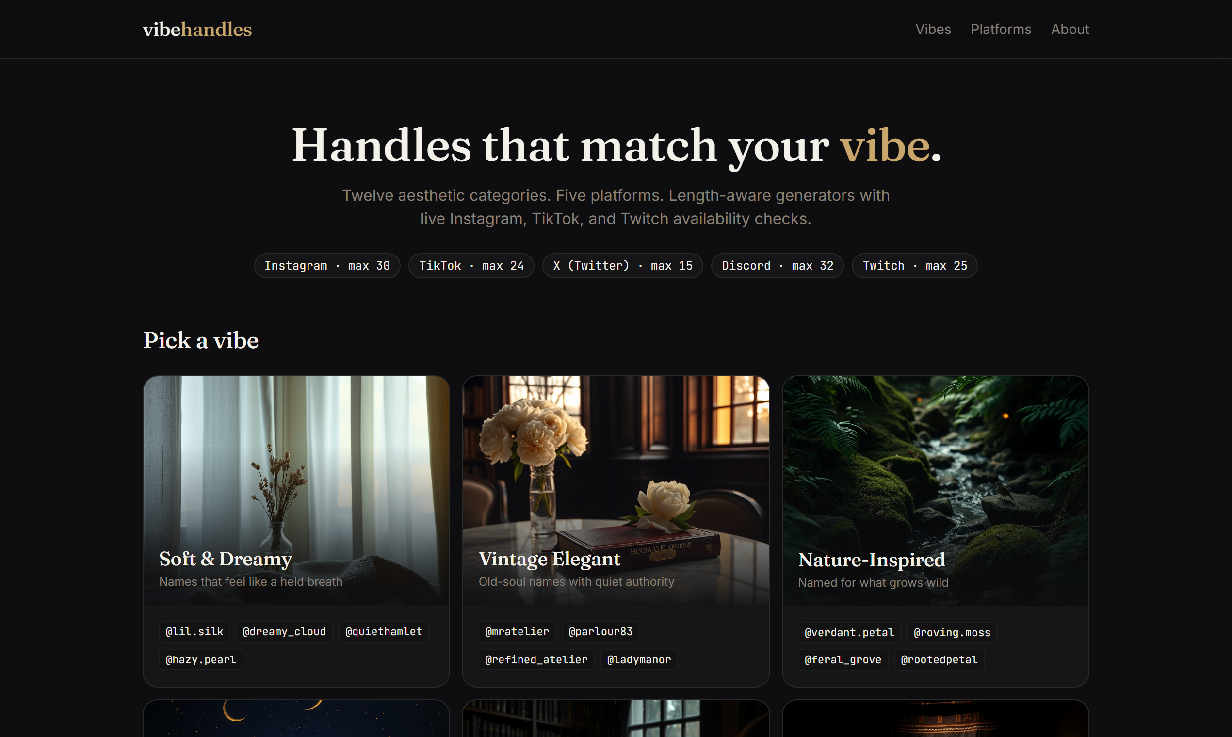 VibeHandles gallery image