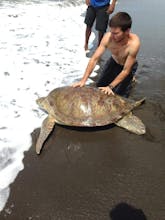 GivingWay gallery image