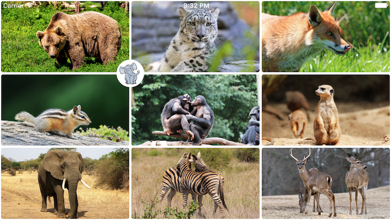 Babii Apps gallery image