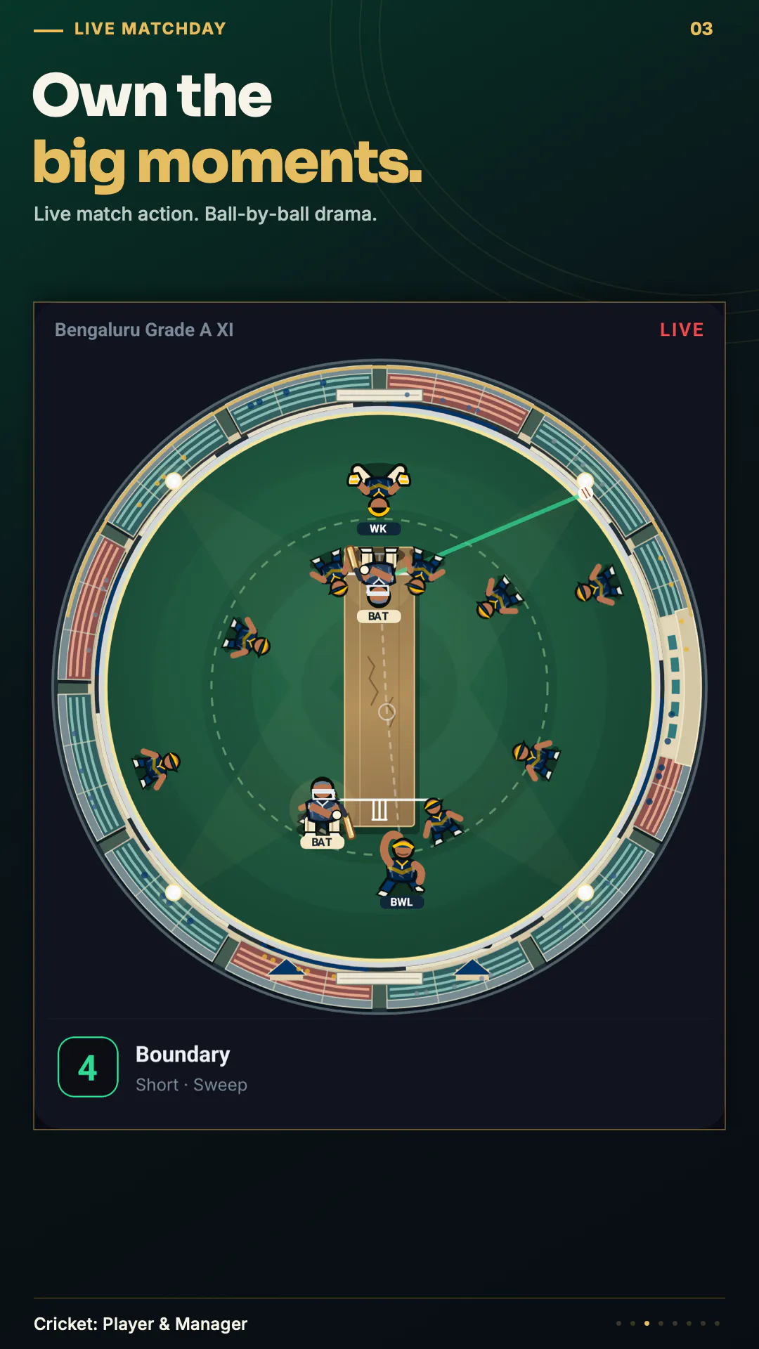 Cricket: Player and Manager gallery image