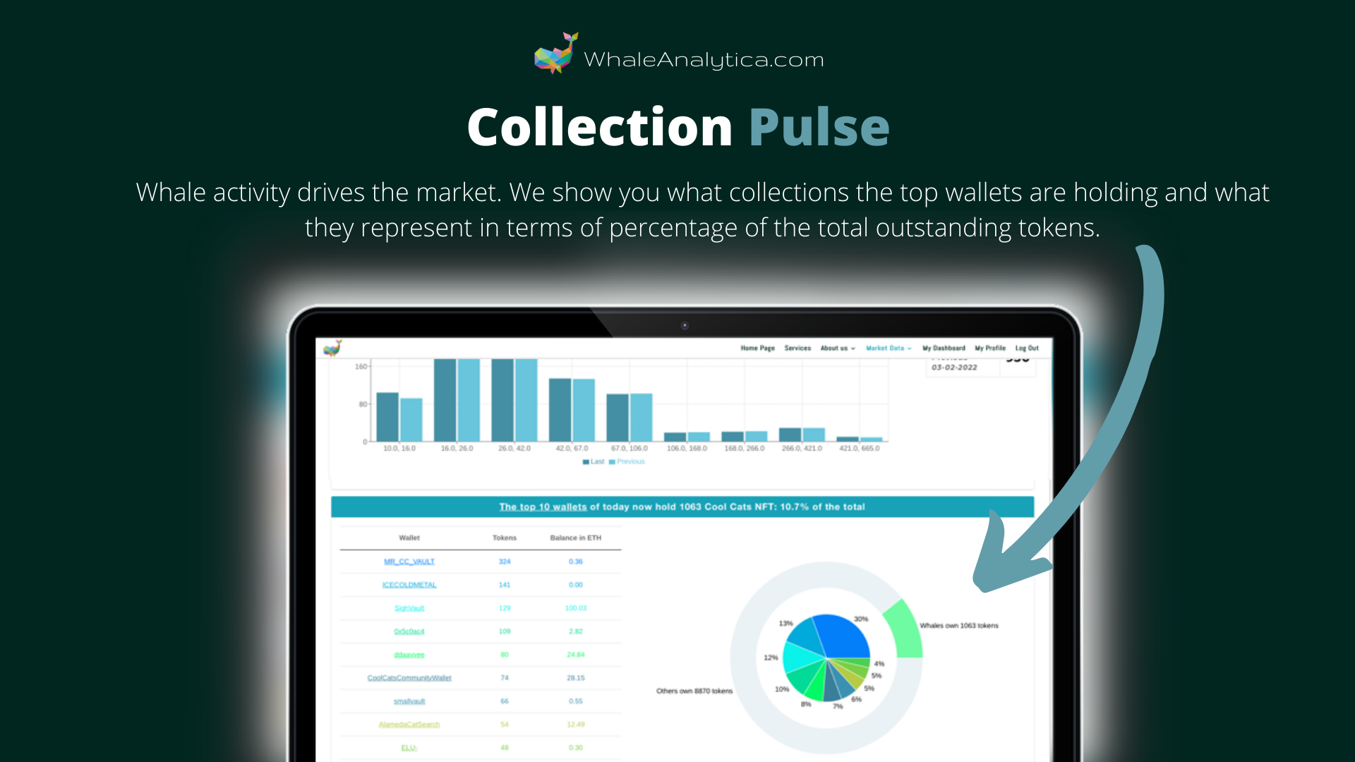 Whale Analytica gallery image