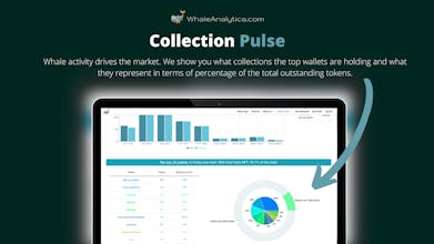 Whale Analytica gallery image