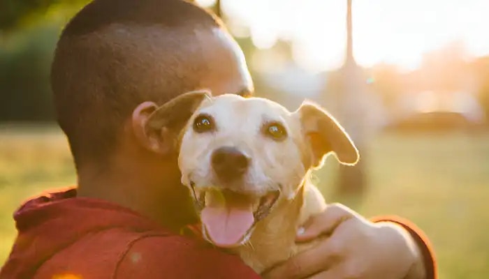 suoni del cane - Traduttore di suoni fischi per cani media 4