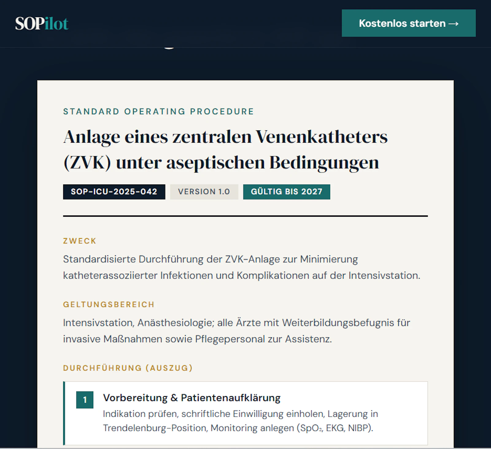 SOPilot screenshot 2