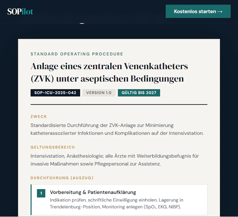 SOPilot screenshot 2