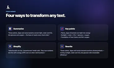Lumiq AI gallery image