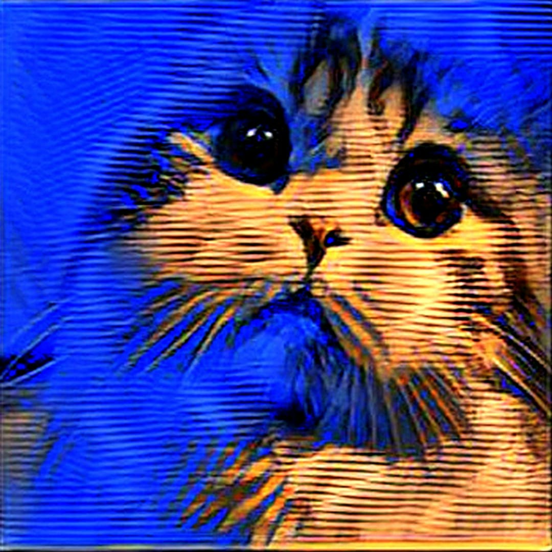RariCats 1000 Video NFTs Collection gallery image