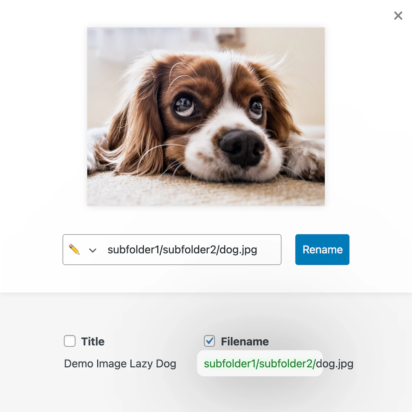 neoRename - WP plugin to rename images screenshot 6