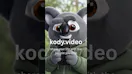 Kody Video
