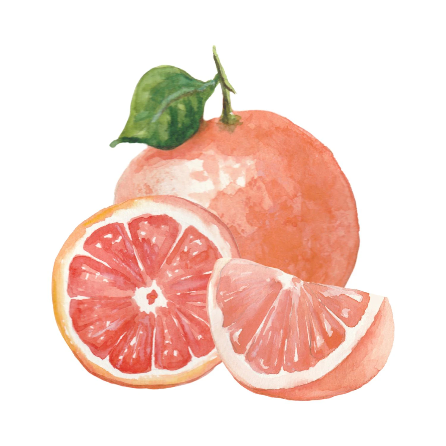 pomelmi 0.14.0