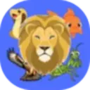 Random Animal Generator
