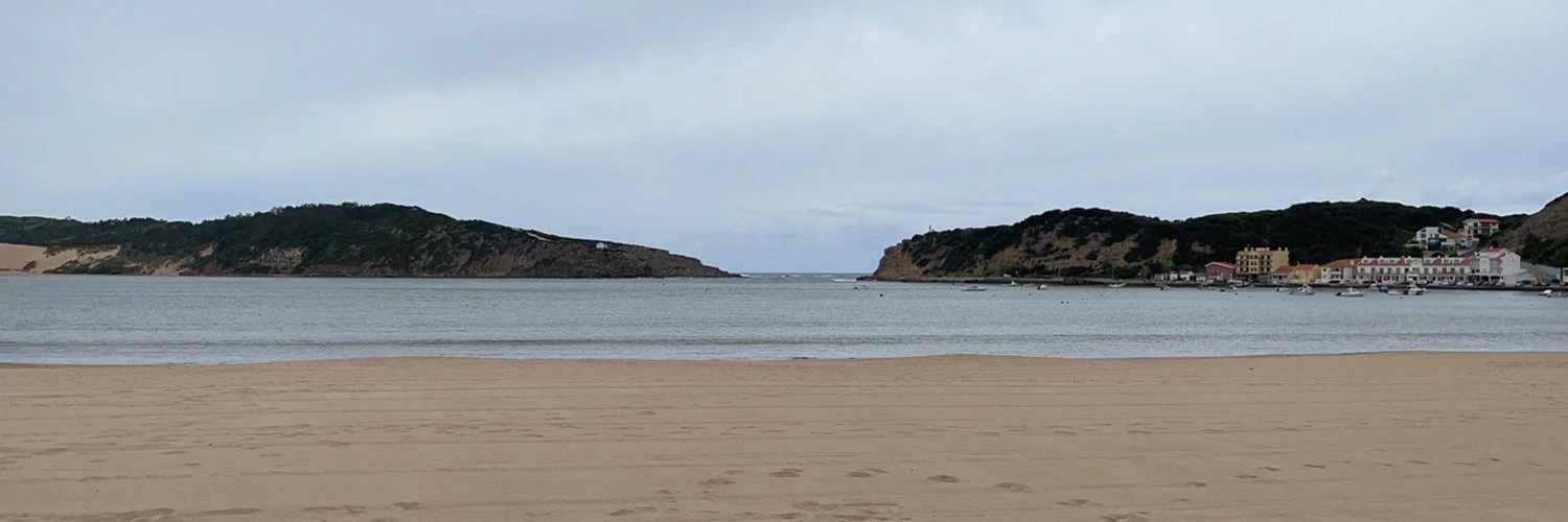 Gonçalo Henriques cover