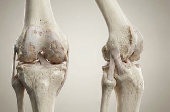 Natomy AI gallery image