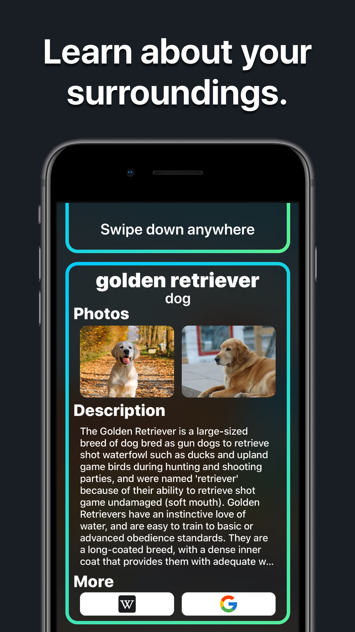 SmartLens gallery image