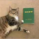 Meow