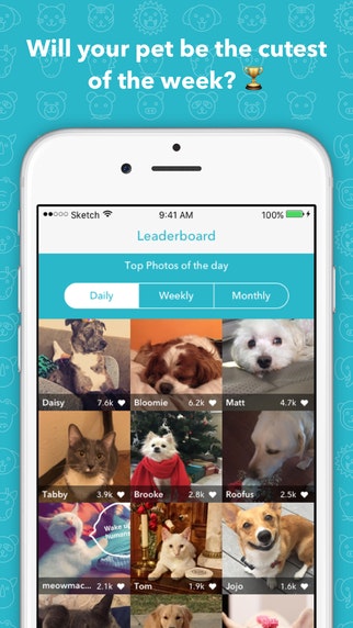 Cutesy gallery image