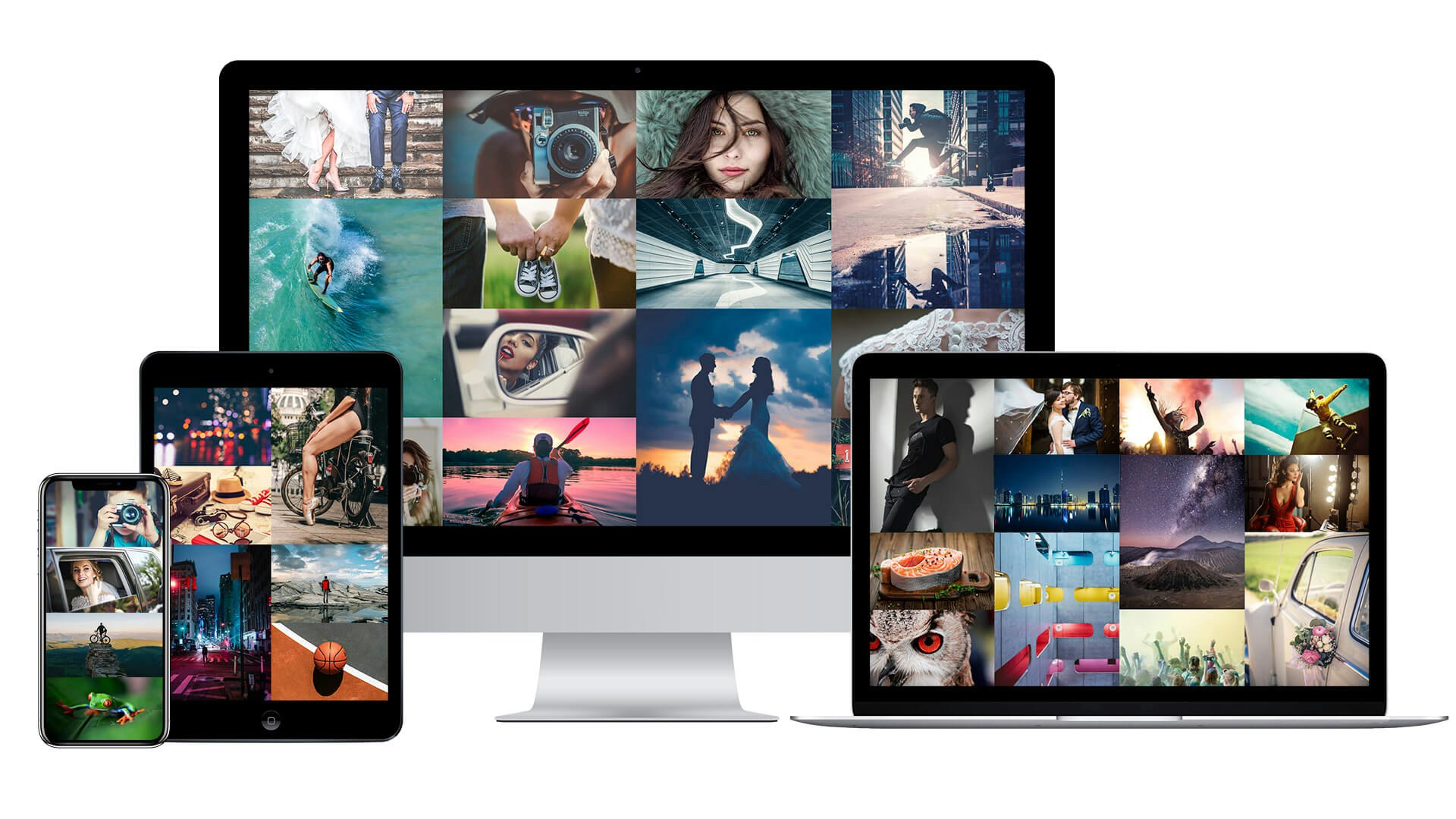 Arcadina gallery image