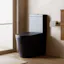 Banyetti Scene Rimless Matt Black Toilet