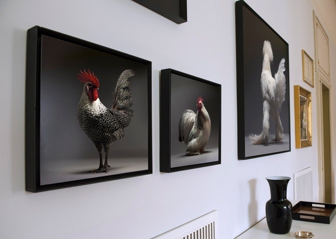 CHICken gallery image