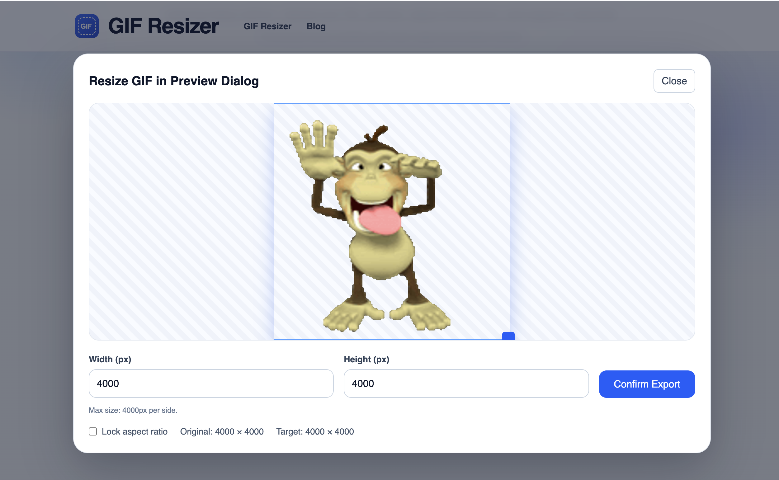 GIF Resizer gallery image