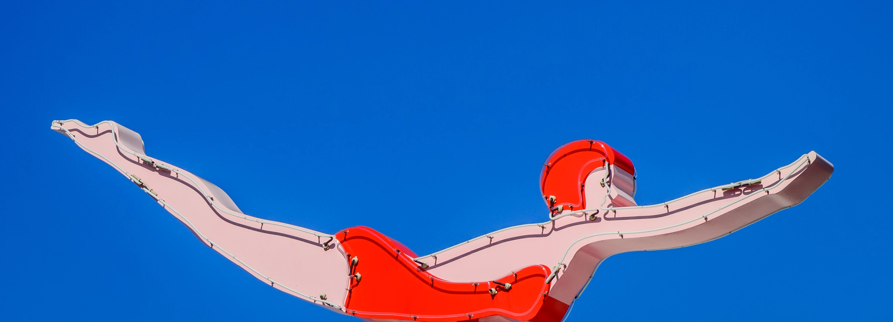 Shaun Simba 🦁 Mataire cover