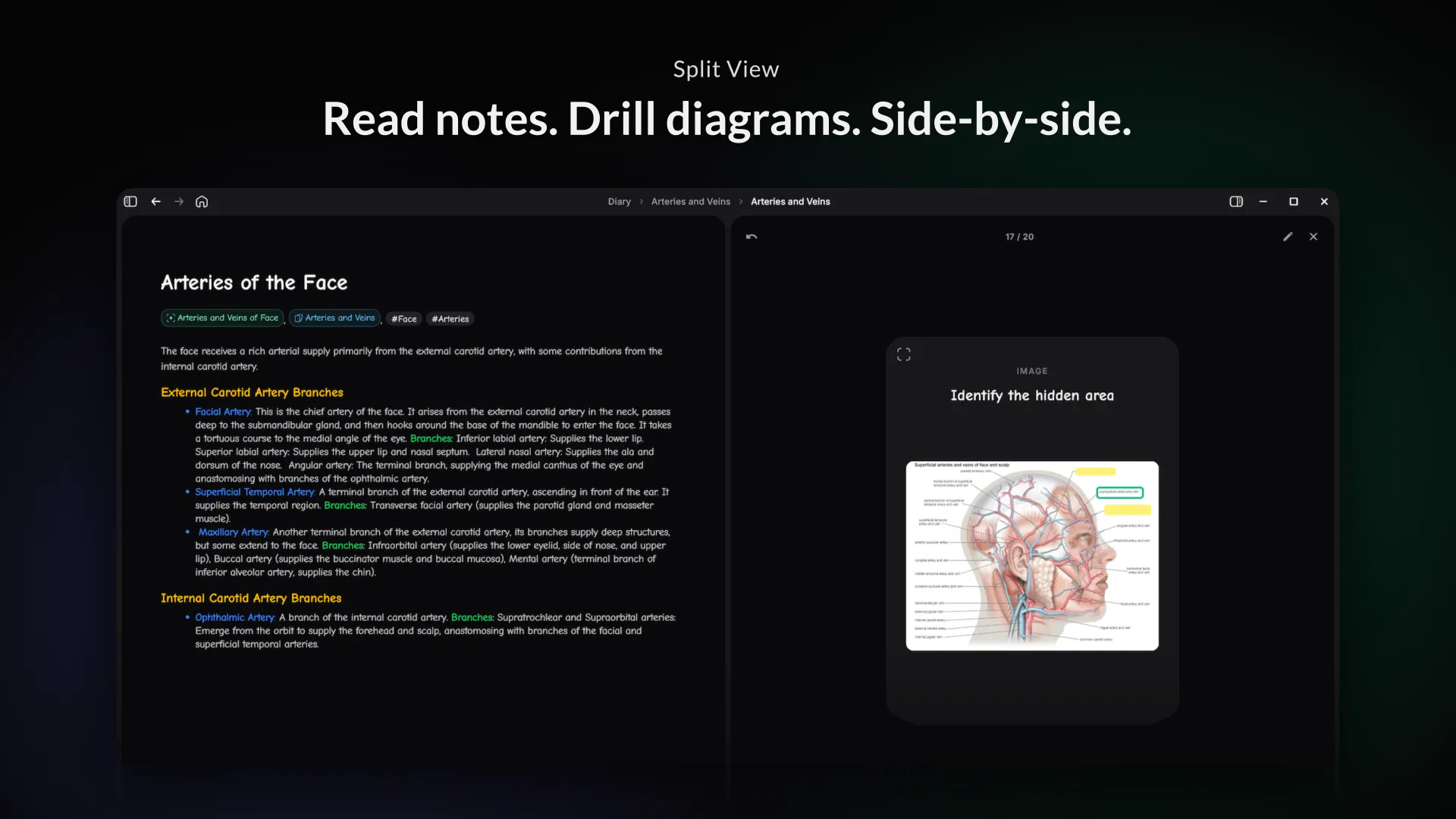 BrainLoom 1.2 gallery image