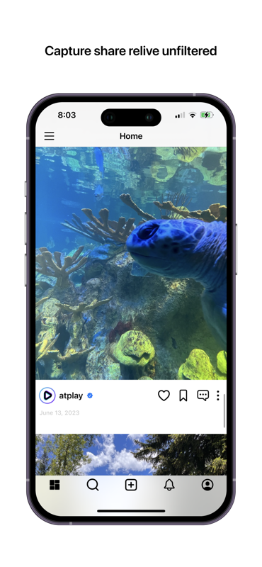 AtPlay media 4