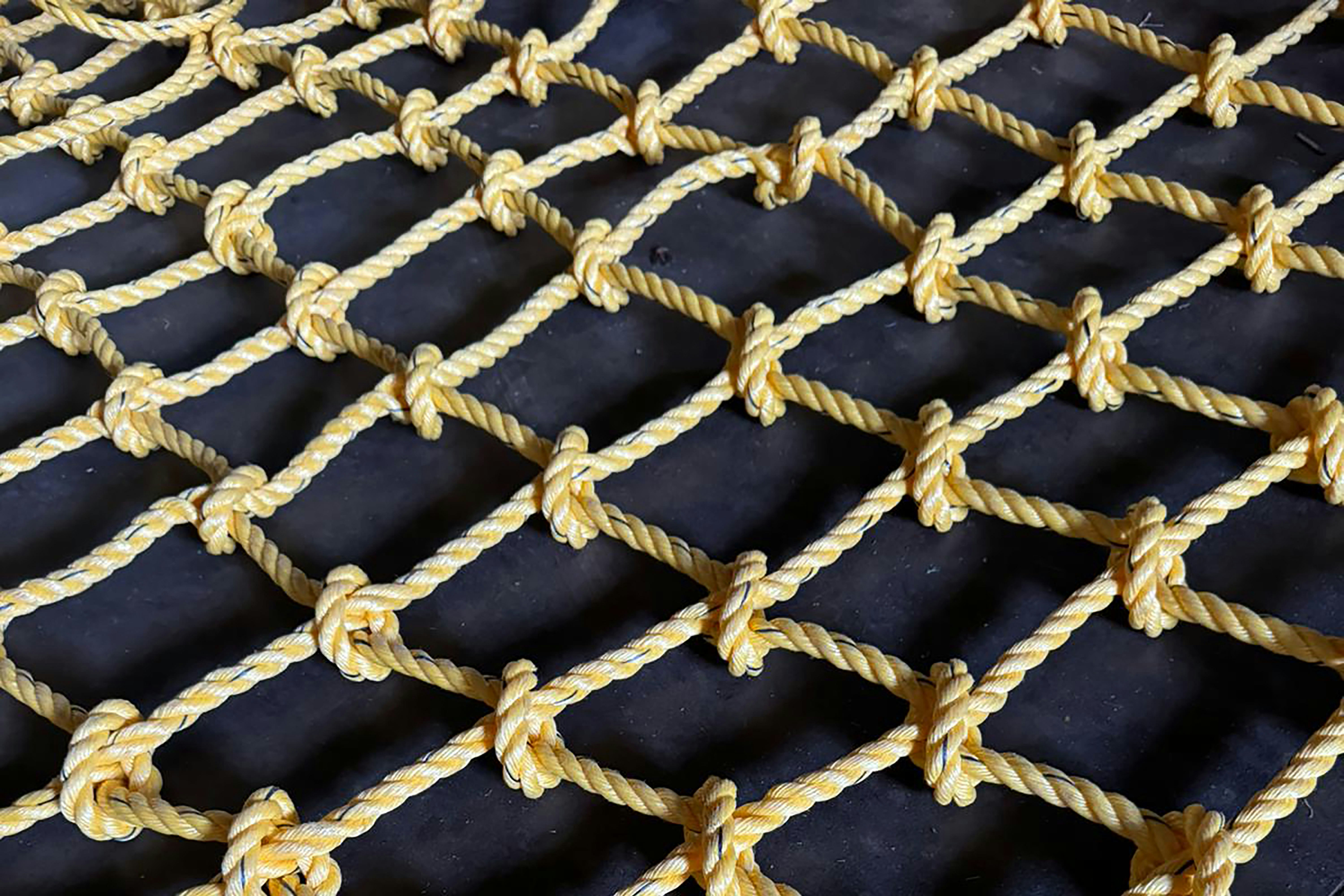 Safety Net Systems Fall Protection - Main product screenshot demonstrating key features and user interface