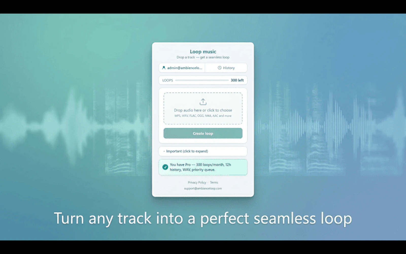 Loop Music screenshot 1