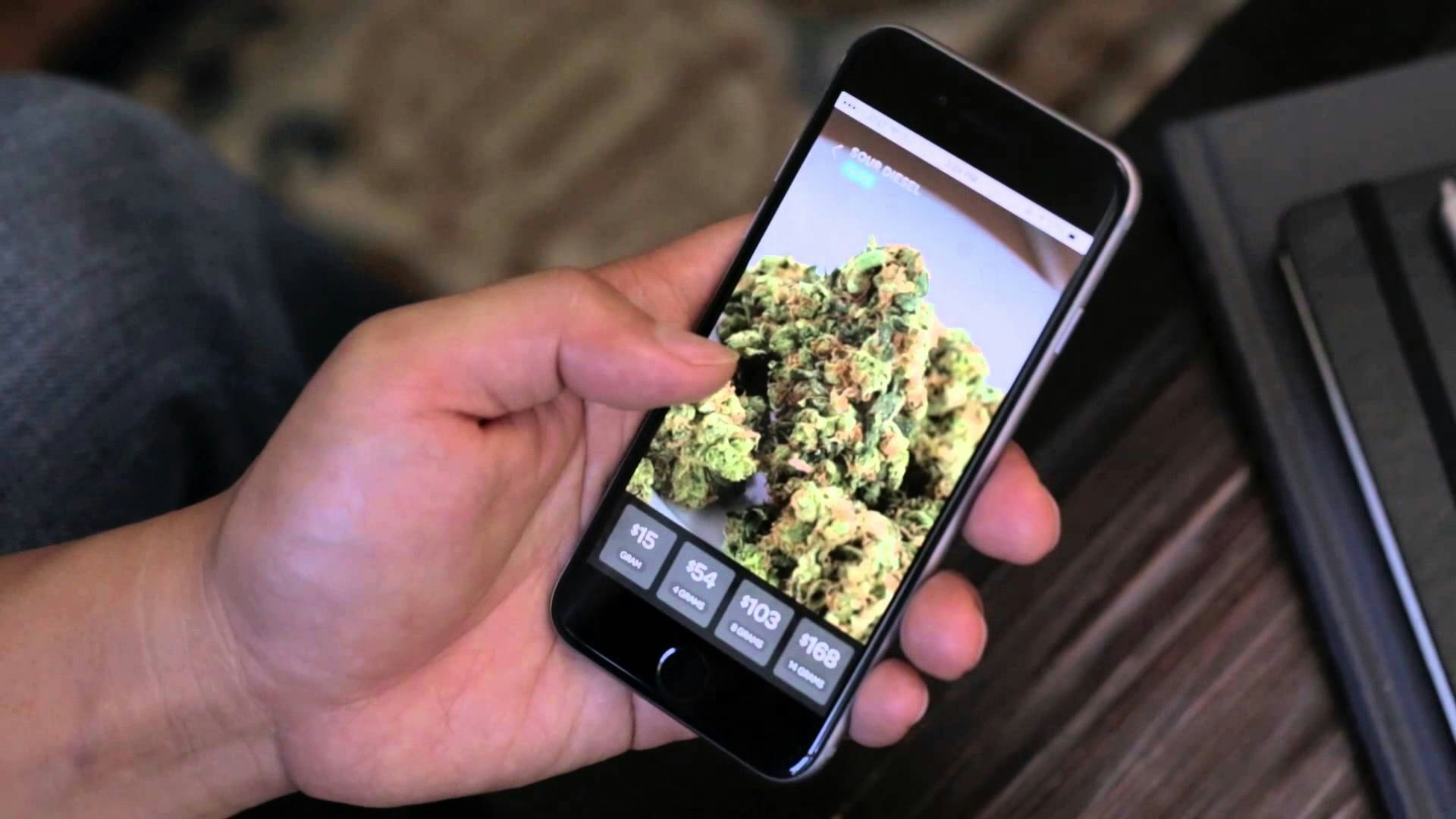 Meadow gallery image