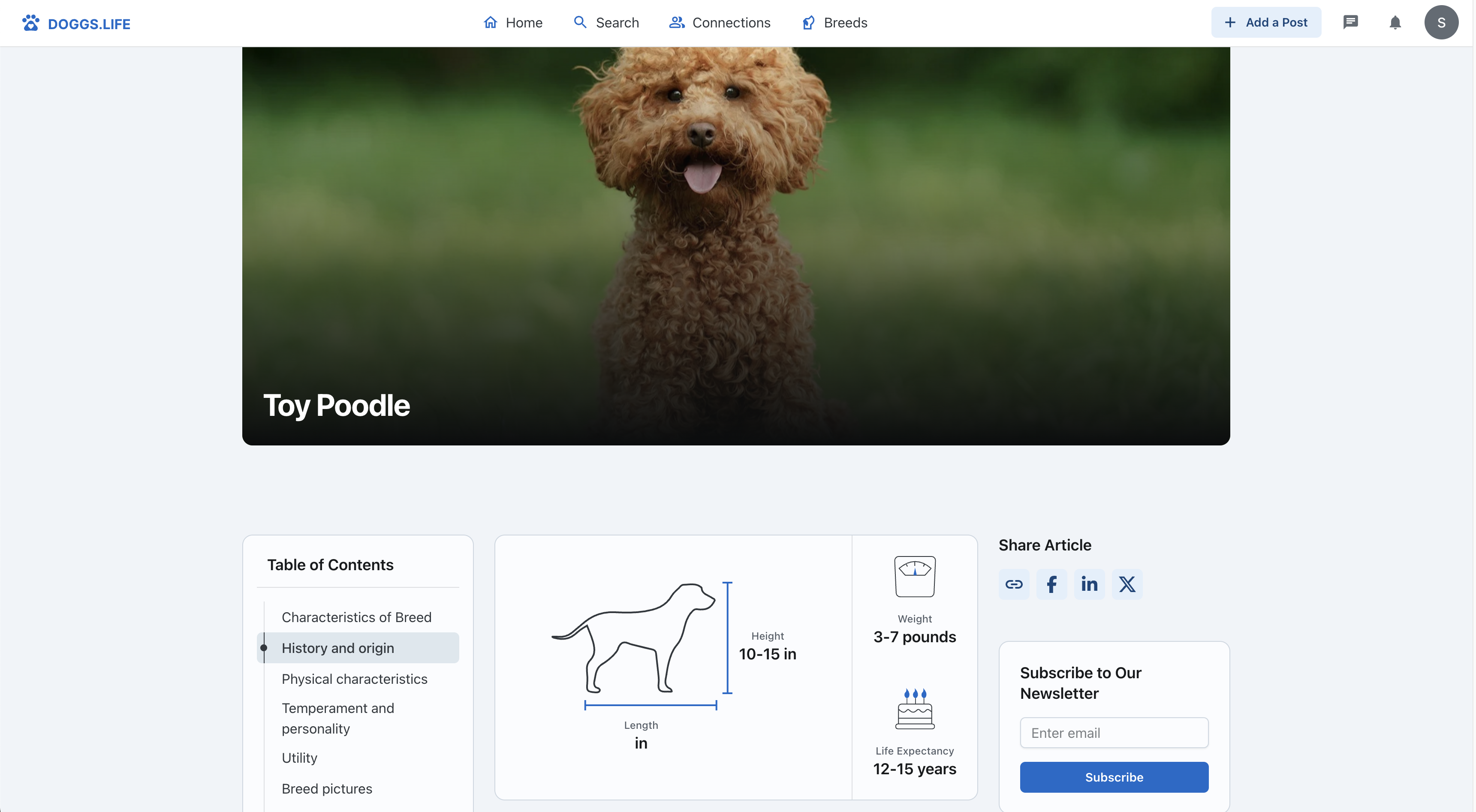 Doggs.Life - Social network for dog lovers - share, connect, explore. media 3
