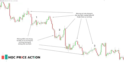 Price Action course gallery image
